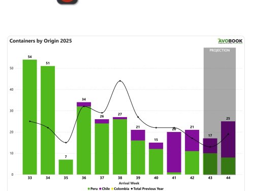 El aguacate en China crece 5% semanal y supera en 24% los niveles del año pasado