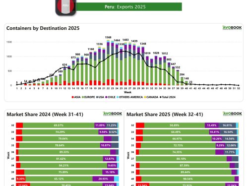 Perú cierra la semana 41 con una caída del 84% en sus exportaciones de aguacate