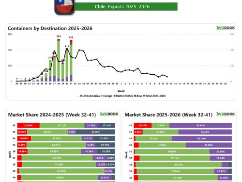 Chile eleva sus exportaciones de aguacate un 27% semanal y consolida su liderazgo en Europa