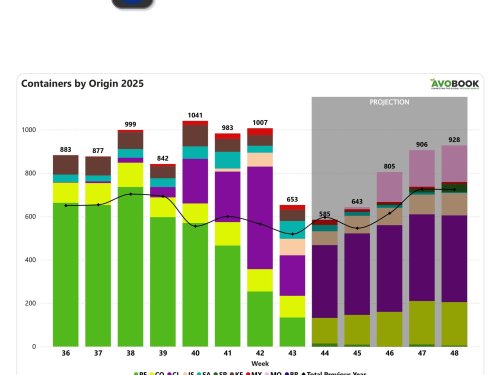 Europa modera su ritmo de importaciones de aguacate tras un fuerte repunte de semanas anteriores