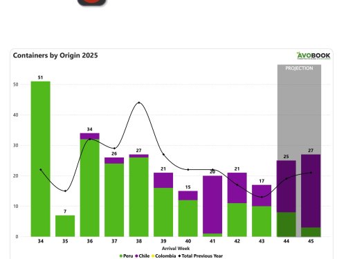 China reduce sus importaciones de aguacate, aunque mantiene niveles superiores al año pasado