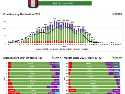 Perú reduce 40% sus envíos de aguacate y se aproxima al cierre de temporada