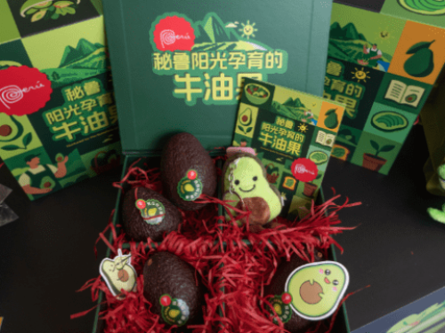 Perú lanza su primera campaña nacional para posicionar la palta en el mercado chino
