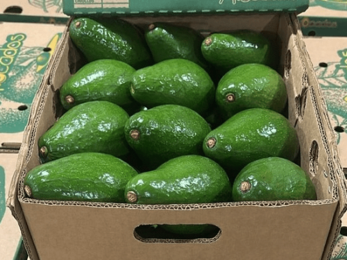 Cofex expande la exportación de frutas tropicales dominicanas a Europa