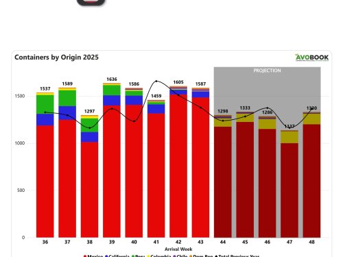 Tras semanas de baja, los precios del aguacate comienzan a recuperarse en Estados Unidos