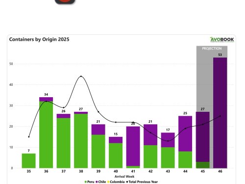 China aumenta sus importaciones de aguacate, pero los precios vuelven a caer