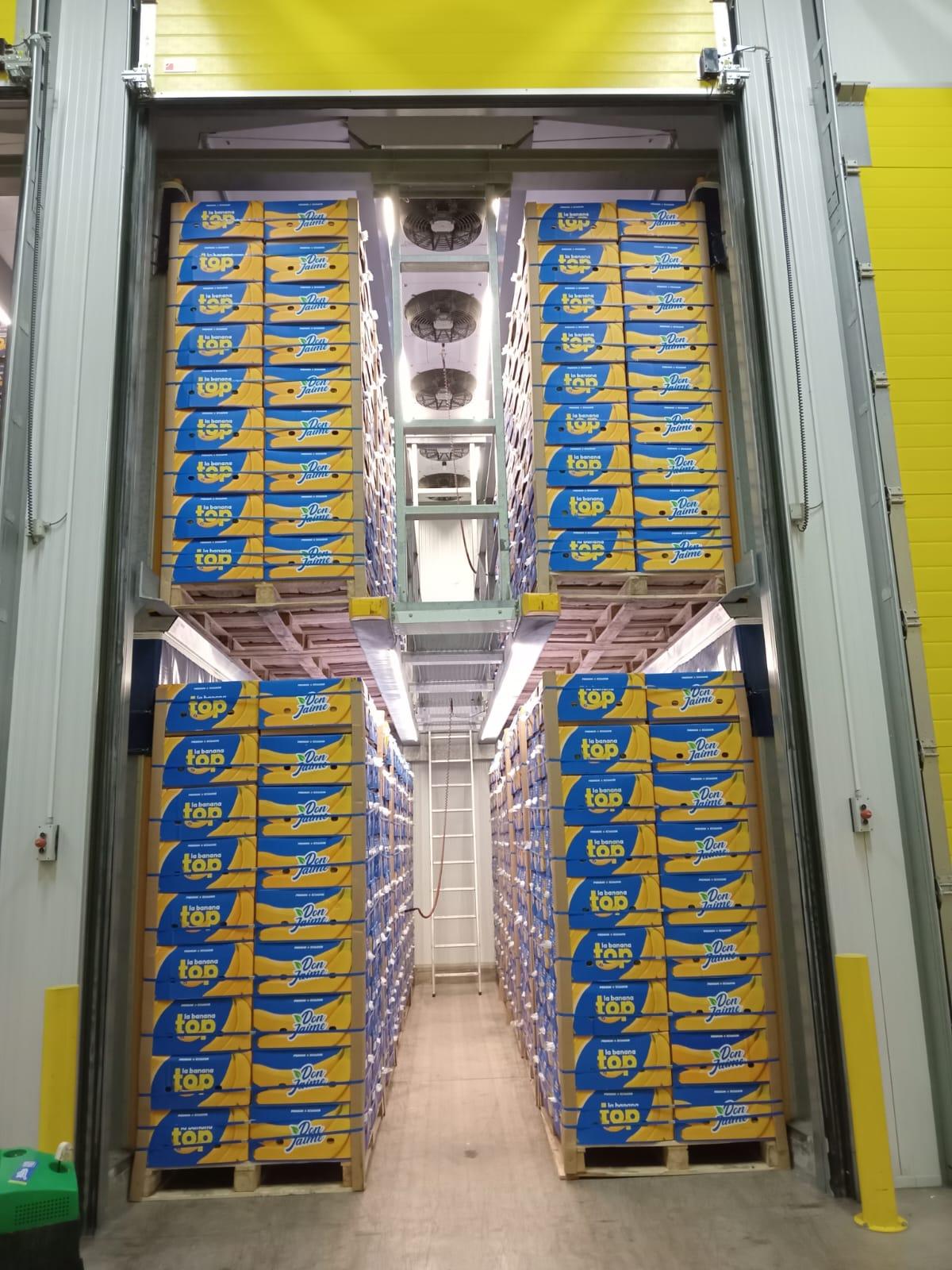 Instalaciones de “Don Jaime”, empresa mendocina que importa aguacates a Argentina.