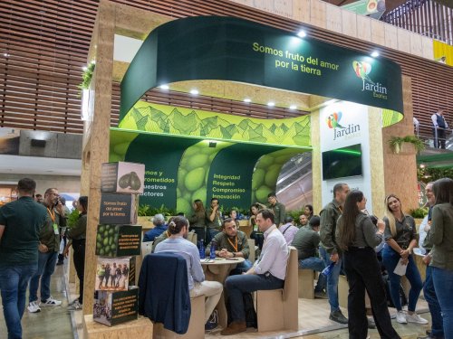 Territorio Aguacate, epicentro de la industria del aguacate de la región