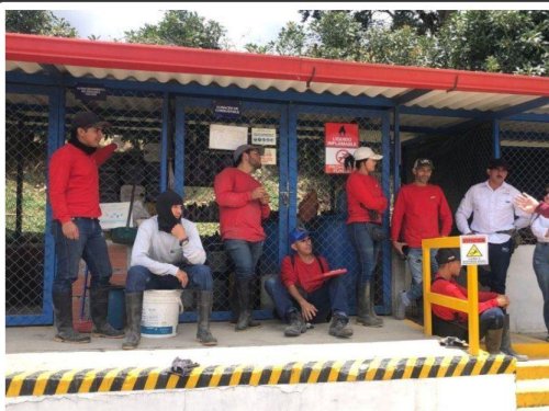 Baika Colombia impulsa la salud y la capacitación agrícola: prevención y formación en la unidad productiva de Salamina