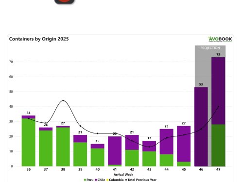 China incrementa 8 % sus arribos semanales de aguacate y Chile concentra 89 % del volumen