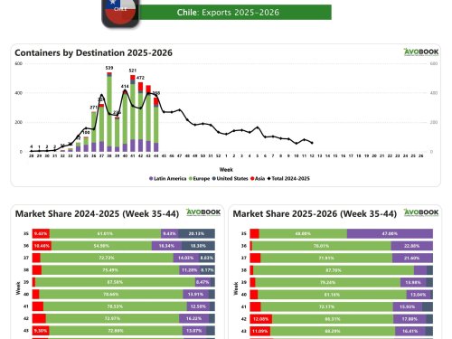 Chile reduce 18 % sus envíos en la semana 44 y concentra dos tercios en Europa