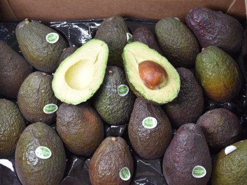 ¿Puede Argentina reemplazar a Europa como destino de la fruta chilena?