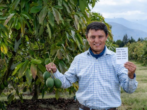 Jorge Altuna: pionero del aguacate Hass y promotor de una producción sostenible en Ecuador