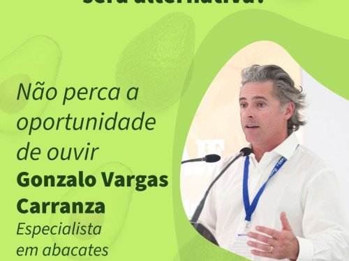 Portugal identifica una nueva zona con alto potencial para producir aguacate y convocan a una charla técnica