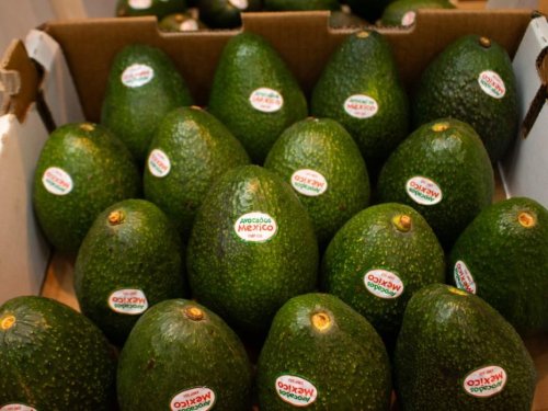 La estrategia de México: priorizar el mercado de EE.UU. sobre los mercados de larga distancia