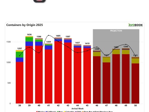 Precios del aguacate siguen descendiendo en EE.UU. mientras aumentan los volúmenes