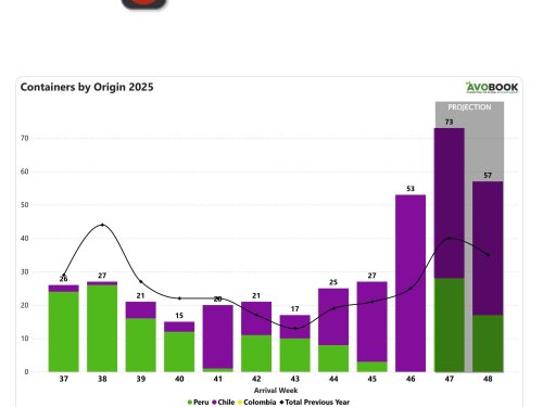 Mercado chino registra el doble de volumen respecto a la misma semana de 2024