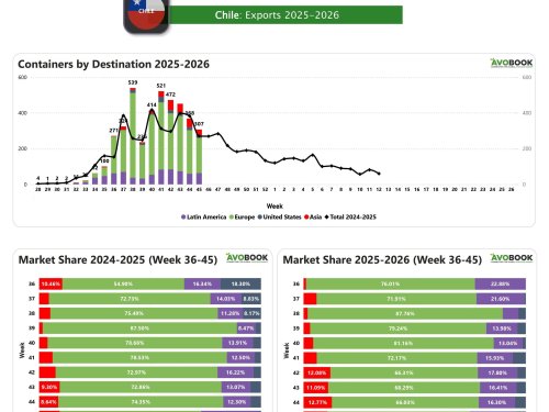 Envios chilenos disminuyen 17%, pero se mantienen por encima del año pasado