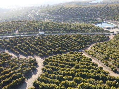 Manejo sustentable del suelo y las nuevas prácticas y tecnologías incorporadas en Baika.
