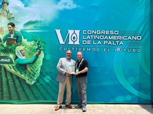 El VII Congreso Latinoamericano de la Palta consolida a Perú como punto neurálgico del conocimiento y la innovación del sector