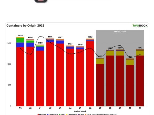 Envios chilenos disminuyen 17%, pero se mantienen por encima del año pasado