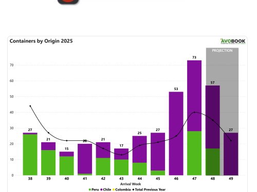 Caen los envíos desde Chile, pero el volumen total en China crece por el retorno de Perú