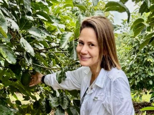 El aguacate boliviano busca su lugar en el mundo: la apuesta de Claudia Oliva por abrir la primera exportación del país