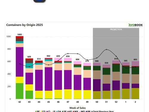 Europa reduce arribos de aguacate mientras Chile sostiene el liderazgo