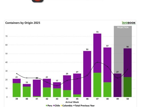 China reduce 22% su volumen semanal pero supera en 63% el nivel interanual de 2024