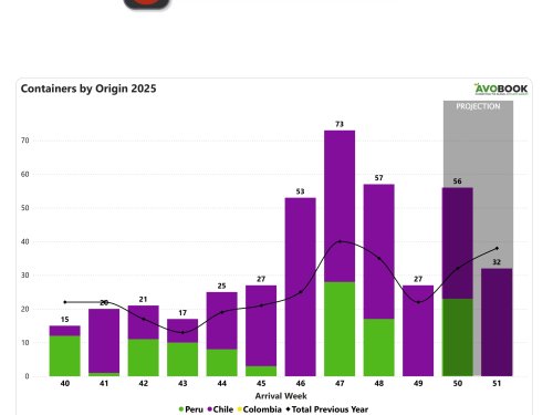 Fuerte caída semanal en China: volúmenes bajan 53% y calibres 18–24 pierden un 13% de valor