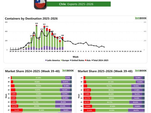 Exportaciones de Chile repuntan con un alza del 33% y Europa vuelve a consolidarse como principal destino