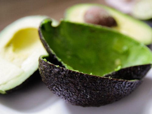 Economía circular en el aguacate: cuando el hueso y la cáscara se convierten en valor