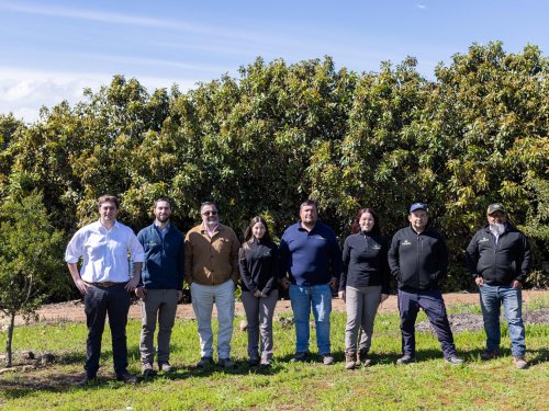 Baika alcanza un importante logro: seis certificaciones sin hallazgos y un modelo sostenible en expansión