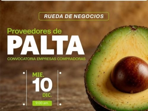 Rueda de negocios de proveedores de Palta: Una oportunidad para ampliar su cartera de proveedores