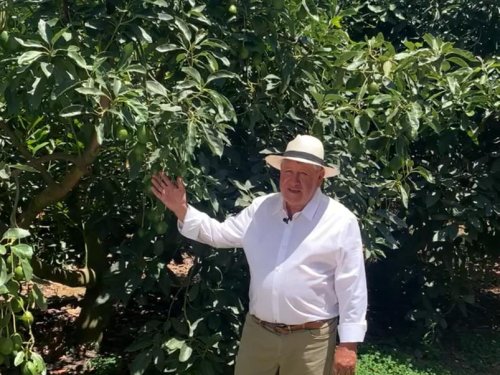 El proceso colectivo que construyó la base del Hass en Ecuador: visión y legado de Marcelo Reinoso