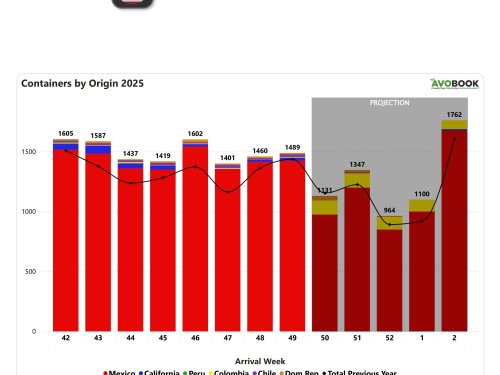 El mercado de EE. UU. enfrenta más fruta y menos valor en todos los calibres