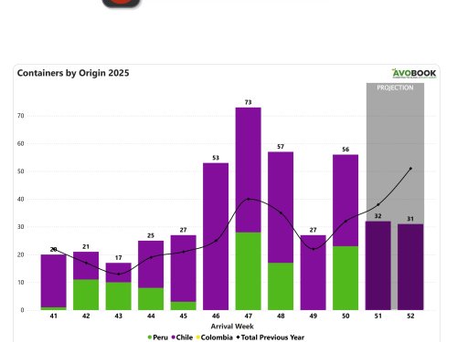 Chile y Perú controlan el mercado chino en una semana de mayores volúmenes y menores precios