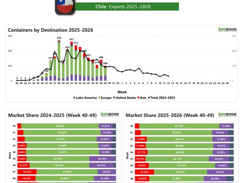Chile cierra la semana 49 con una fuerte baja en sus envíos y ajustes en su distribución por destino