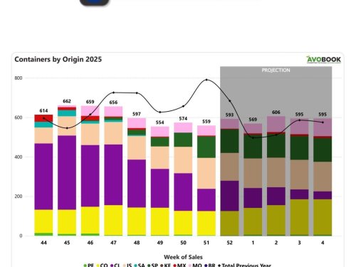 España impulsa los arribos con un alza semanal de 50% mientras Chile cae 41%