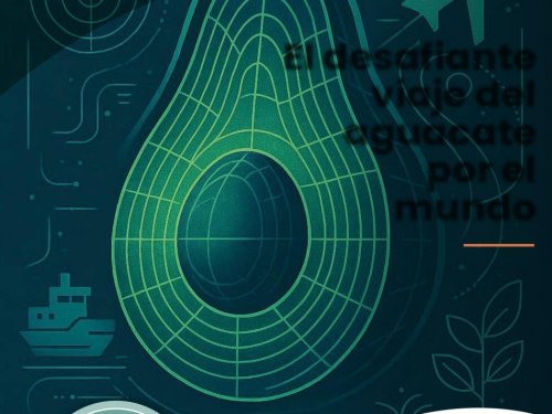 AvoMagazine 3ª Edición