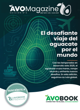 AvoMagazine 3rd Edition