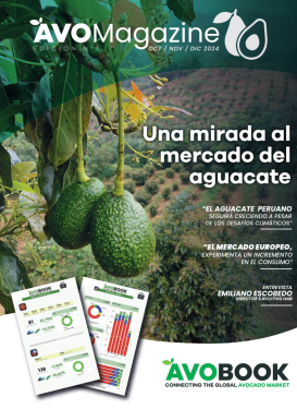 AvoMagazine 1ª Edición