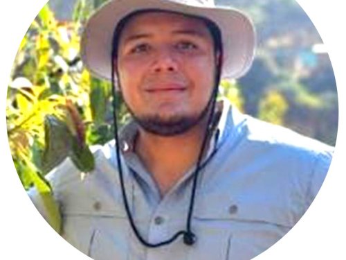 Diciembre 2025: Un cierre de año presionado por la cereza y la sobreoferta en el mercado chino de palta Hass