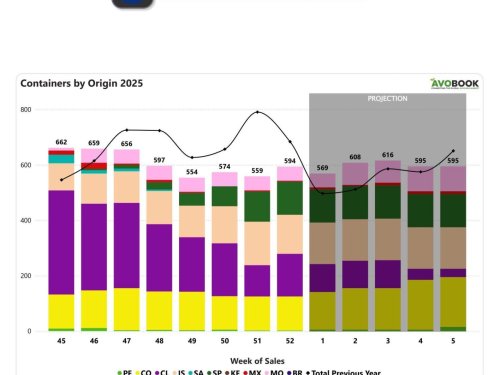 Europa cierra el año con aumento semanal de embarques y cambios en la distribución por origen