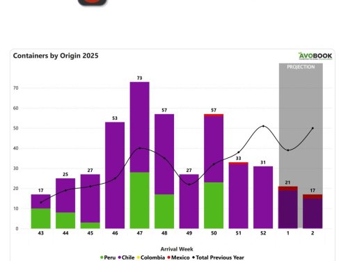 China registra caída semanal de 6% en volúmenes al cierre del año