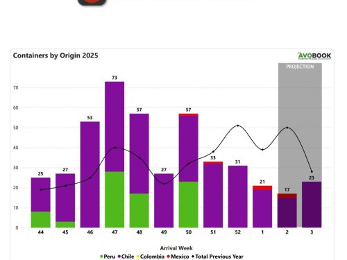 Chile lidera envíos mientras se esperan volúmenes desde Perú
