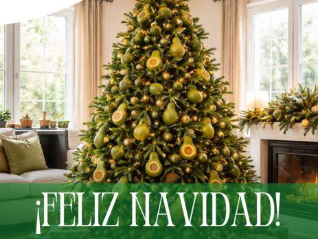 ¡Les deseamos unas Felices Fiestas y nuestros mejores deseos para el 2026!