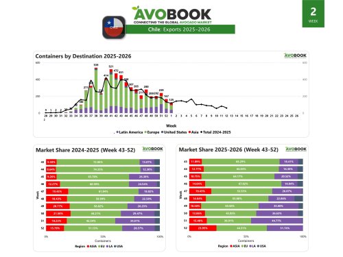 Chile redistribuye destinos y reduce envíos a EE. UU.