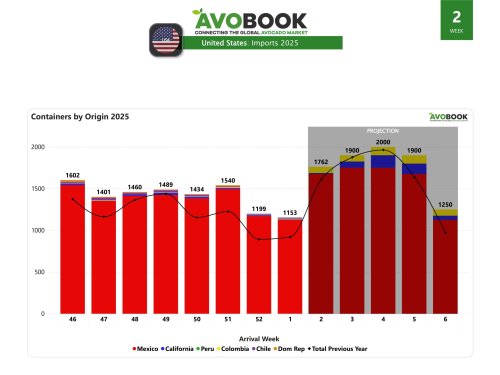 Arribos a EE. UU. caen 4% semanal al cierre de la semana 1