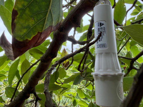 Biodiversidad y carbono como eje estratégico